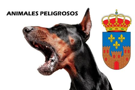 Imagen ANIMALES PELIGROSOS